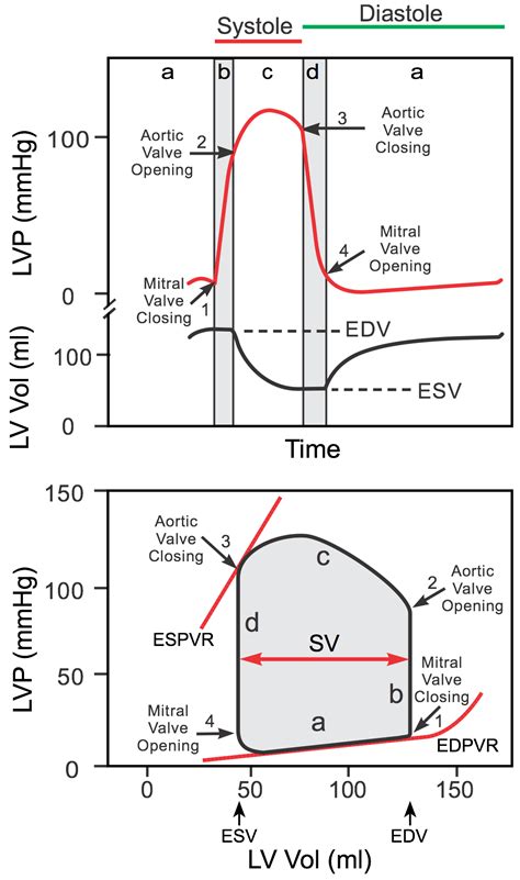 pressure volume relationship cv.